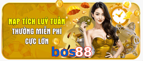 bos88
